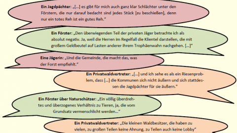 Interviewzitate zeigen: Die Stimmung im Nordschwarzwald ist in Bezug auf das Rotwild angespannt (zum Vergrößern bitte auf das Bild klicken).